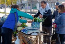 Frutas y verduras agroecológicas en Berazategui