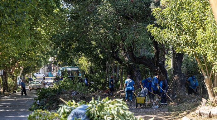 Profundizan operativos de despeje de luminarias en barrios del distrito