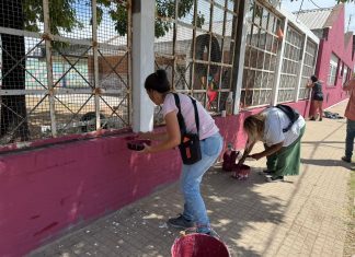 Se realizan refacciones y mantenimiento en escuelas de localidades brownianas