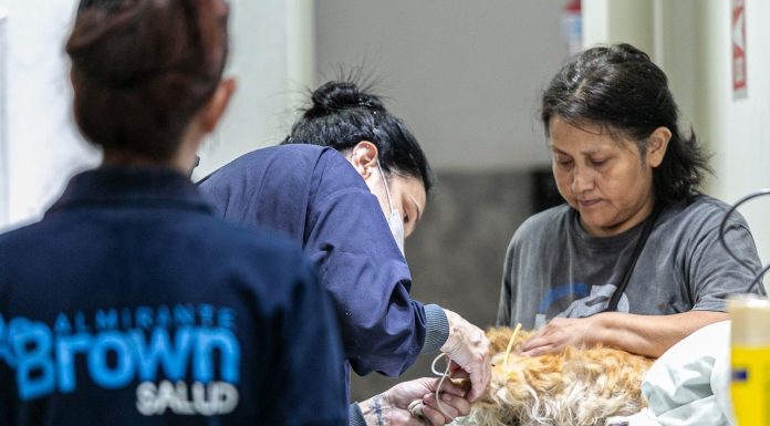 Zoonosis Brown lanza un nuevo servicio antirrábico y profundiza su descentralización