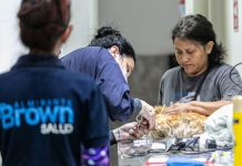 Zoonosis Brown profundiza los operativos descentralizados de castración