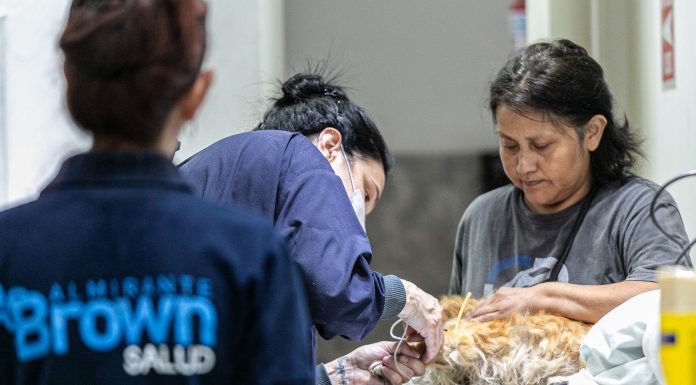 Zoonosis Brown profundiza los operativos descentralizados de castración