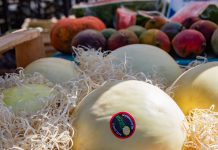 La feria municipal recorre distintos barrios de Berazategui