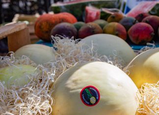 La feria municipal recorre distintos barrios de Berazategui