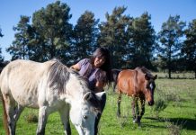 Eva Mieri visitó la ONG “Caballos de Quilmes” que realiza una importante labor de rescate en la ciudad