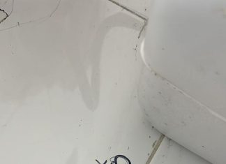 La Policía investiga y hubo allanamientos por amenazas de tiroteos en escuelas de Brown