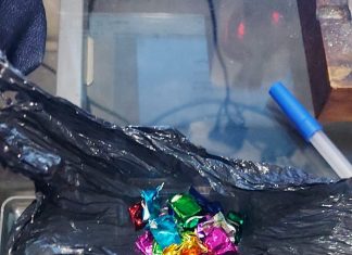 Desbaratan bunker de drogas y detienen a un delincuente en San José