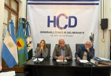 Brown: el HCD aprobó por amplia mayoría la rendición de cuentas 2025