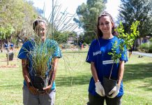 Durante el último año el municipio forestó con más de mil plantas nativas espacios públicos del distrito