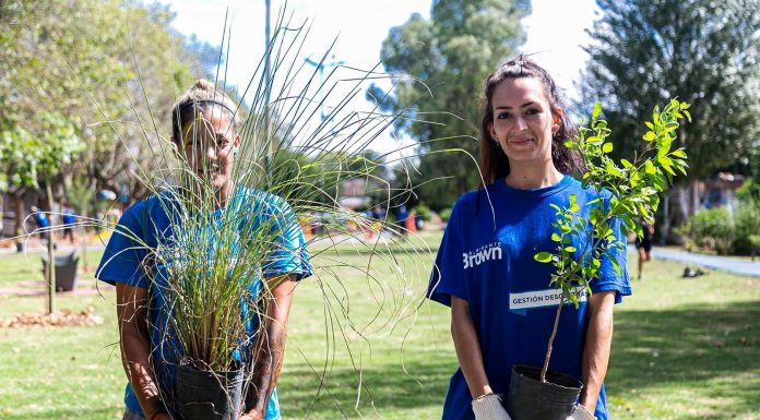 Durante el último año el municipio forestó con más de mil plantas nativas espacios públicos del distrito