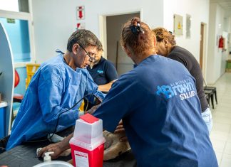 Zoonosis Brown conmemora el “día del animal” con operativo gratuito de castración y vacunación en Don Orione