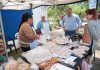 Con productos de calidad y precios accesibles vuelve el “Circuito de Ahorro Brown”