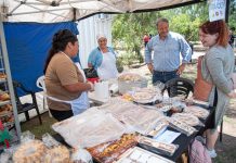 Con productos de calidad y precios accesibles vuelve el “Circuito de Ahorro Brown”