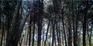 Turismo de invierno en la provincia de Buenos Aires