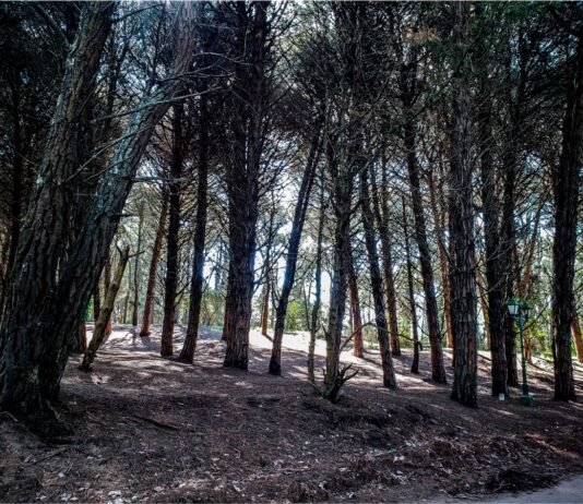 Turismo de invierno en la provincia de Buenos Aires