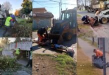 Nuevos operativos de limpieza integral en Berazategui