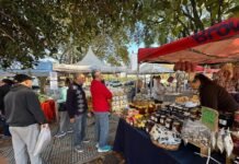 “Circuito de Ahorro Brown”: vuelve a los barrios en septiembre