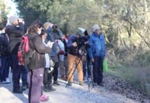 Cursos gratuitos para la formación de guías locales de turismo rural